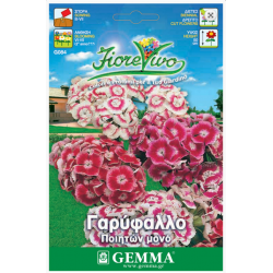 Γαρύφαλλο Ποιητών Μονό 0,4g Σπόροι (Dianthus barbatus)
