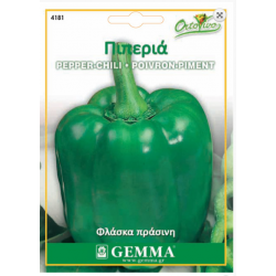 Capsicum annuum (Yolo wonder)|kipogeorgiki.live