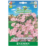 Γυψοφίλη Ροζ-Ακροάστια 2,5g Σπόροι Φάκελος (Gypsophila spp.) - Σπόρος για Γυψοφίλες Γυψοφίλη Ροζ-Ακροάστια 2,5g Σπόροι (Gypsophila spp.)