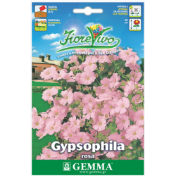 Γυψοφίλη Ροζ-Ακροάστια 2,5g Σπόροι (Gypsophila spp.)