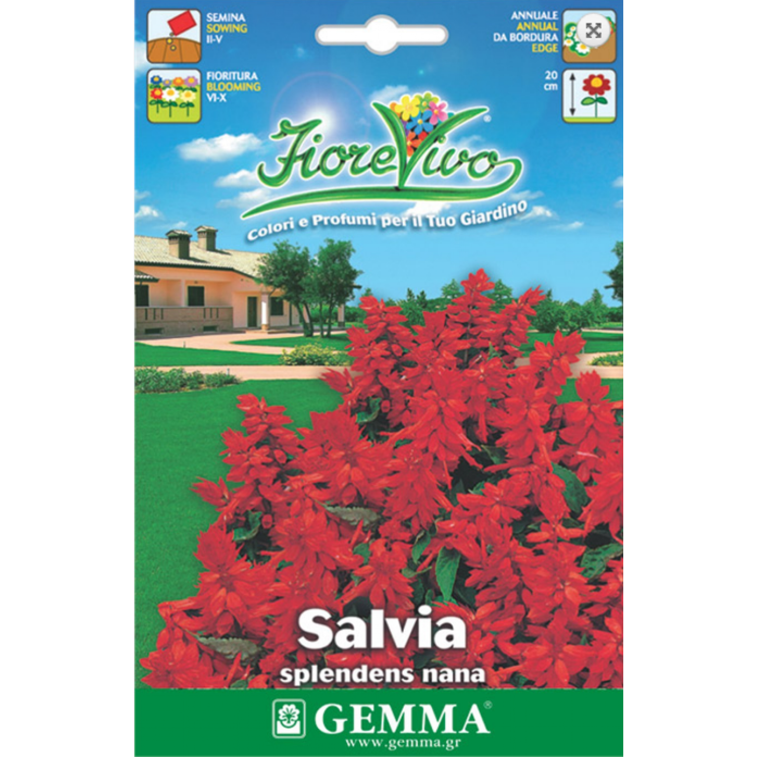 Scarlet Sage Dwarf Mix Seeds 0.3g Packet (Salvia splendens) - Seed for Scarlet Sages Scarlet Sage Dwarf Mix Seeds 0.3g (Salvia splendens)