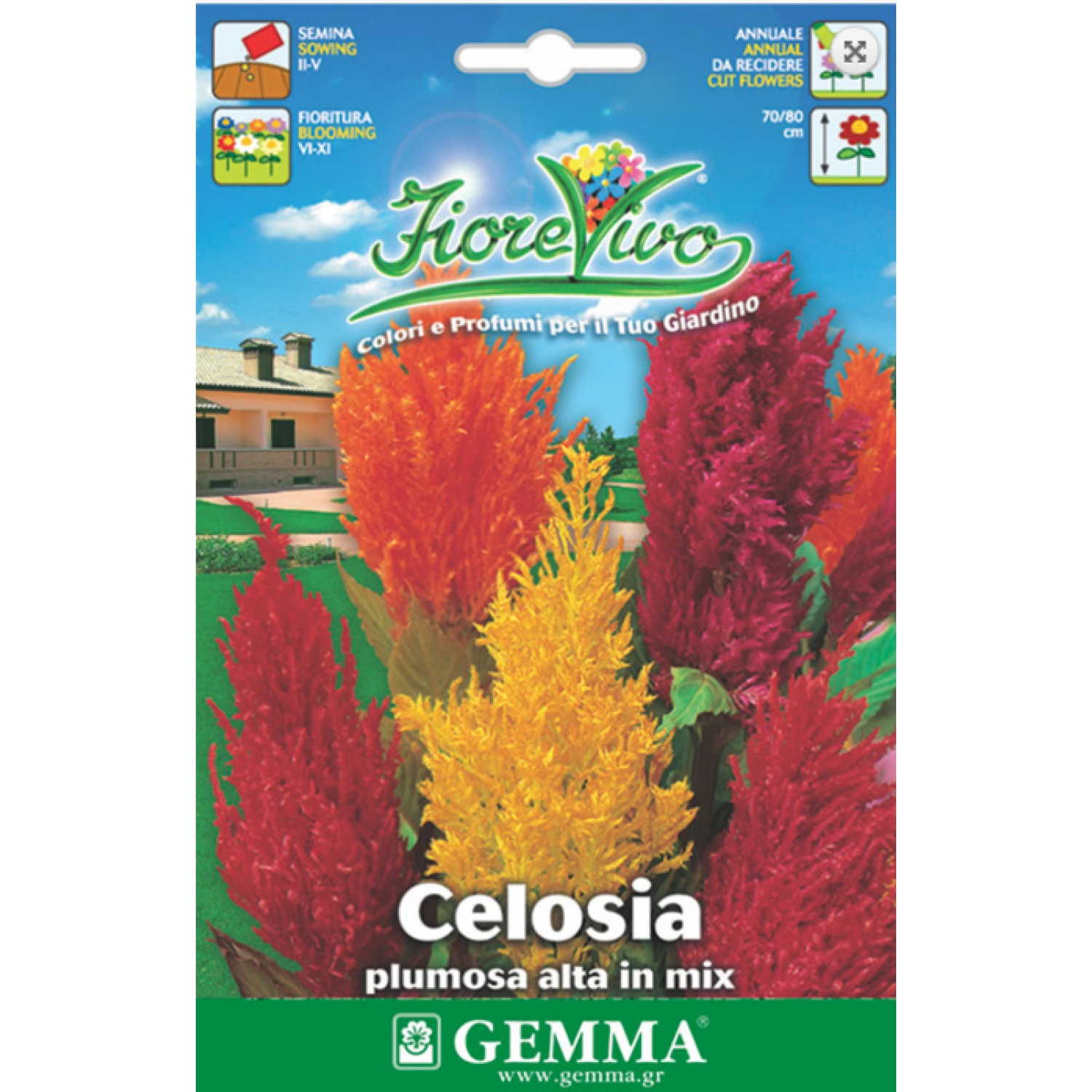 Silver Cock's Comb Seeds 0.6g Packet (Celosia plumosa) - Seed for Silver Cock's-Combs Silver Cock's Comb Seeds 0.6g Packet (Celosia plumosa)