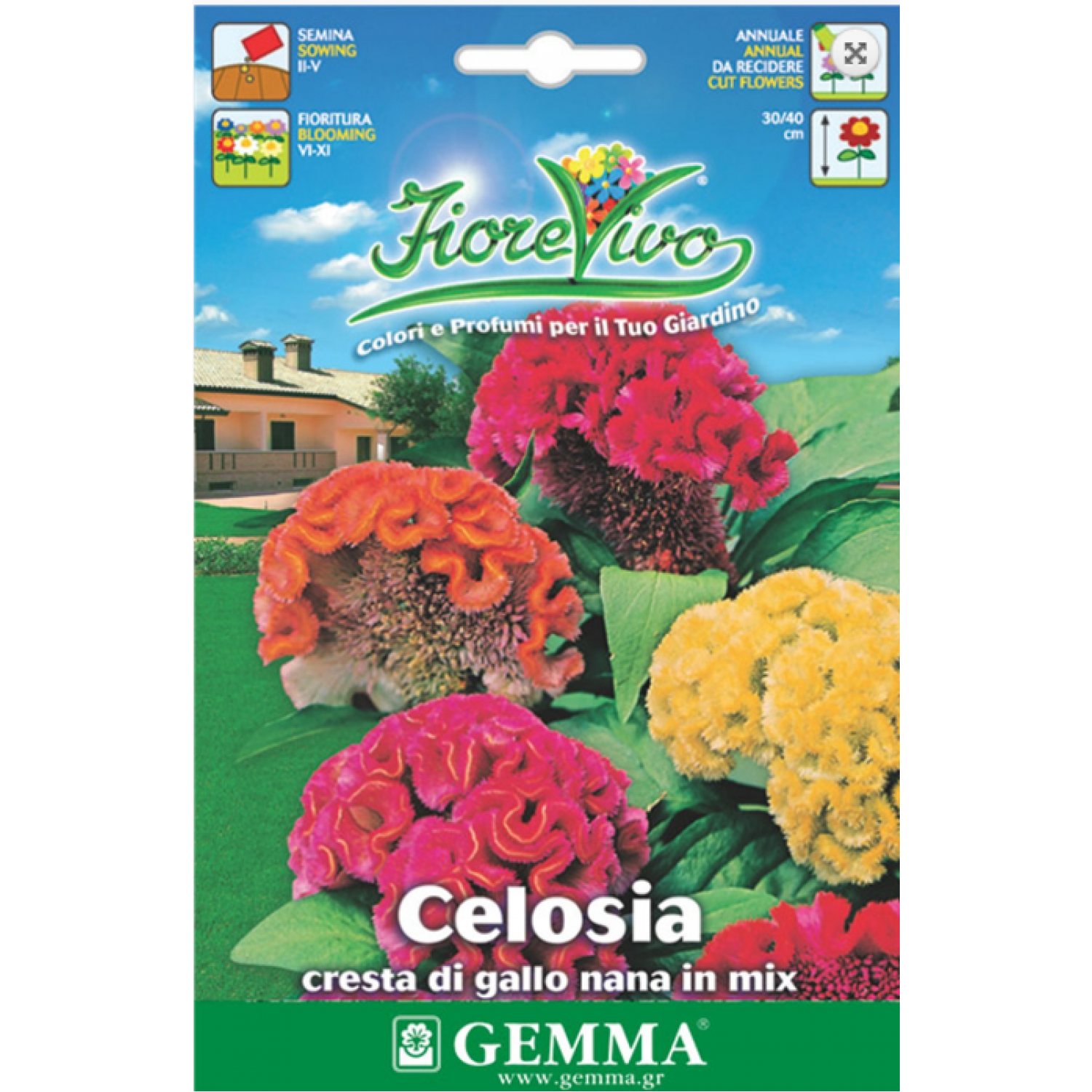 Double Crested Cock's-Comb Seeds 1g (Celosia cristata)