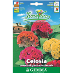 Double Crested Cock's-Comb Seeds 1g (Celosia cristata)