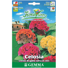 Σελόζια Νάνα-Λειρί Κόκορα Διπλή 1g Σπόροι-Celosia cristata