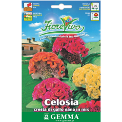 Σελόζια Νάνα-Λειρί Κόκορα Διπλή 1g Σπόροι-Celosia cristata
