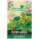 Black Mustard Seeds Packet 12666 (Brassica nigra) - Seed for Black Mustards Black Mustard Seeds Packet 12666 (Brassica nigra)
