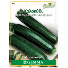 Κολοκύθι Μακρύ Σκούρο 3g Σπόροι Φάκελος (Curcubita pepo 'Nano Verde di Milano')