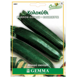 Squash Long Dark Seeds (Curcubita pepo) | kipogeorgiki.live