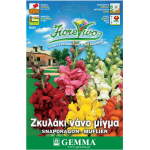 Snapdragon Dwarf Mix Seeds 0.5g Packet (Antirrhinum majus) - Seed for Snapdragons Snapdragon Dwarf Mix Seeds 0.5g (Antirrhinum majus)