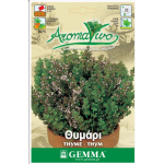 Θυμάρι-Θύμιο ή Θύμος Σπόροι Φακελάκι 12645 (Thymus vulgaris) - Σπόρος για Θυμάρια Θυμάρι-Θύμιο ή Θύμος Σπόροι Φακελάκι (Thymus vulgaris)