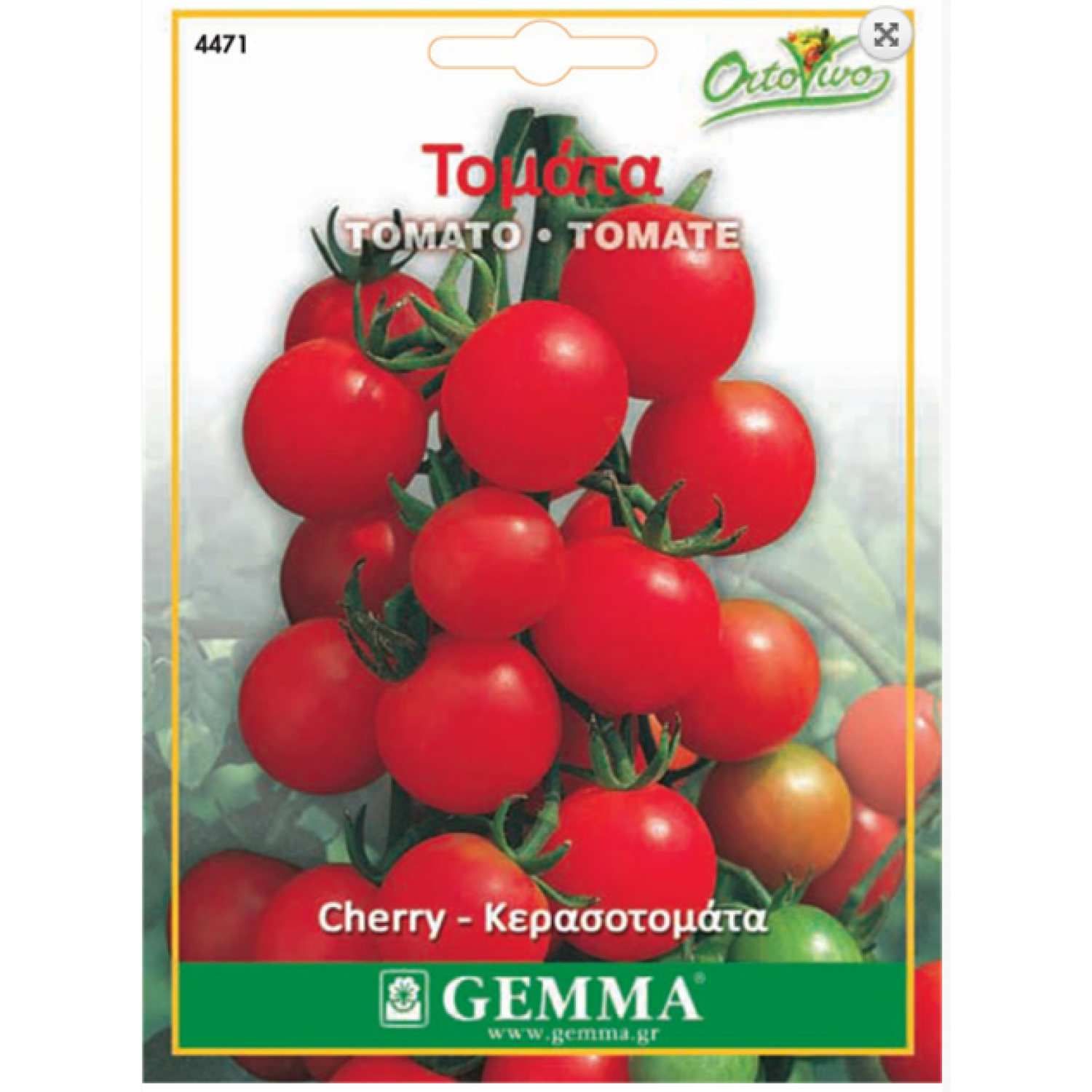 Tomato cherry|kipogeorgiki.live
