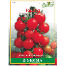 Tomato cherry|kipogeorgiki.live