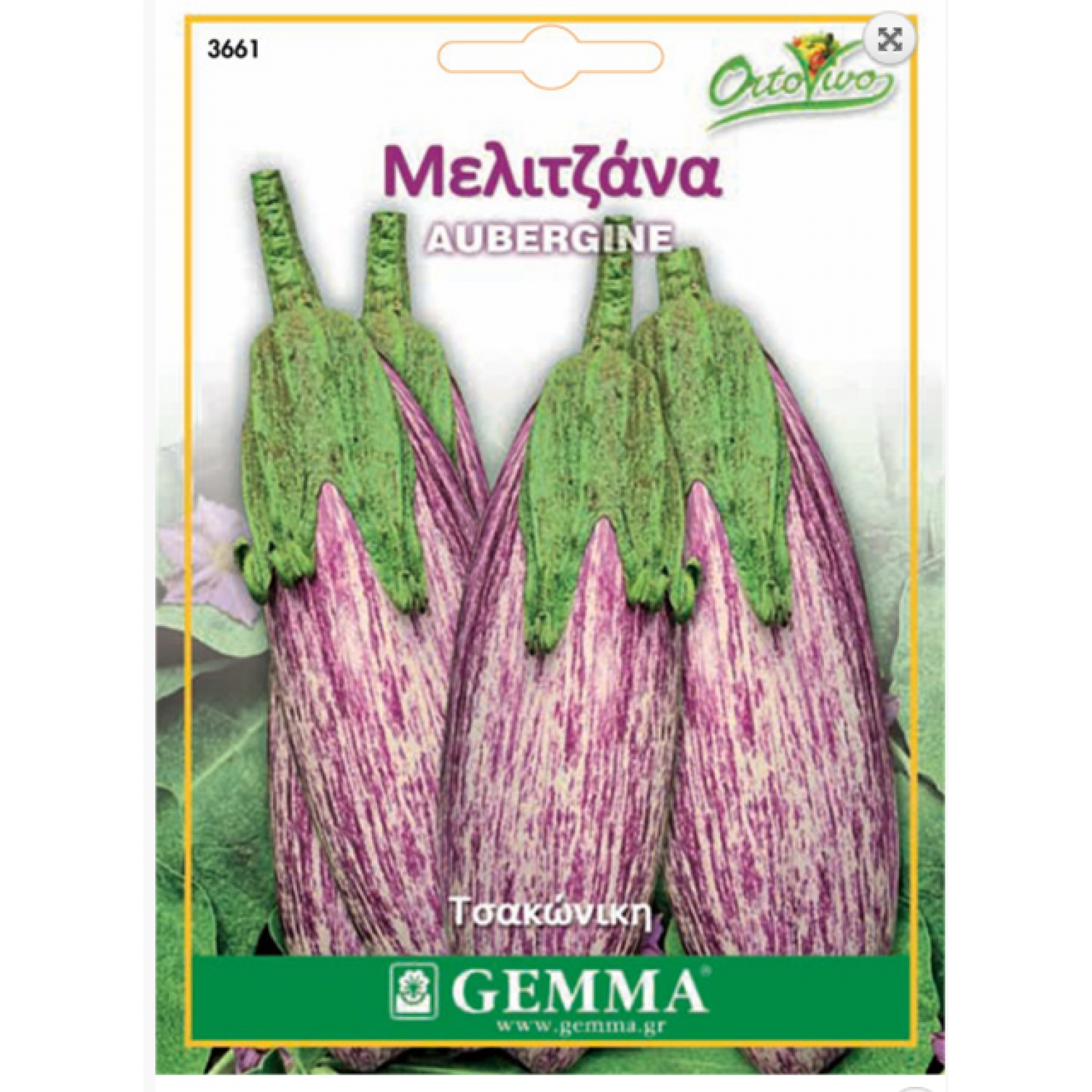Μελιτζάνα Τσακώνικη Σπόροι (Solanum melongena) Μελιτζάνα Τσακώνικη Σπόροι (Solanum melongena) | kipogeorgiki.live