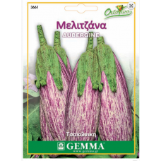 Μελιτζάνα Τσακώνικη Σπόροι (Solanum melongena) | kipogeorgiki.live