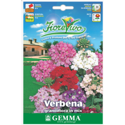 Βερβένα Γίγας Μίγμα 0,2g Σπόροι Φάκελος (Verbena × hybrida)