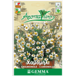 Chamomile Seeds Packet 12659 (Matricaria chamomilla) - Seed for Chamomiles Chamomile Seeds Packet 12659 (Matricaria chamomilla)