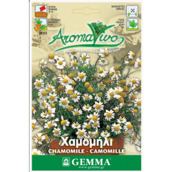 Χαμομήλι Σπόροι Φακελάκι 12659 (Matricaria chamomilla)