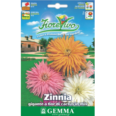 Ζίννια Μίγμα Γίγας Κάκτος Μίγμα 0,9g Σπόροι-Zinnia spp.
