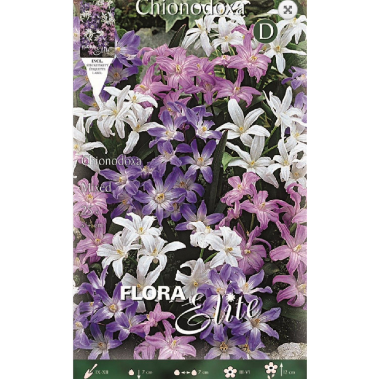 Chionodoxa Mixed | kipogeorgiki.live