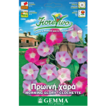 Purple Morning Glory Mix Seeds 2g Packet (Ipomoea purpurea) - Seed for Morning Glories Purple Morning Glory Mix Seeds 2g (Ipomoea purpurea)