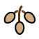 Πλάτανος ο Δυτικός Δέντρο (Platanus occidentalis)  ΚΑΡΠΟΙ: Καφέ - Ανοιχτό 