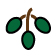 Common Fig Tree (Ficus carica)  FRUIT: Green