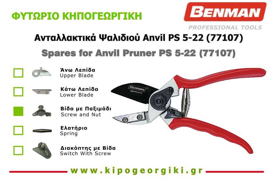 Spare Screw and Nut for Pruner PS 5 22 Benman 77107