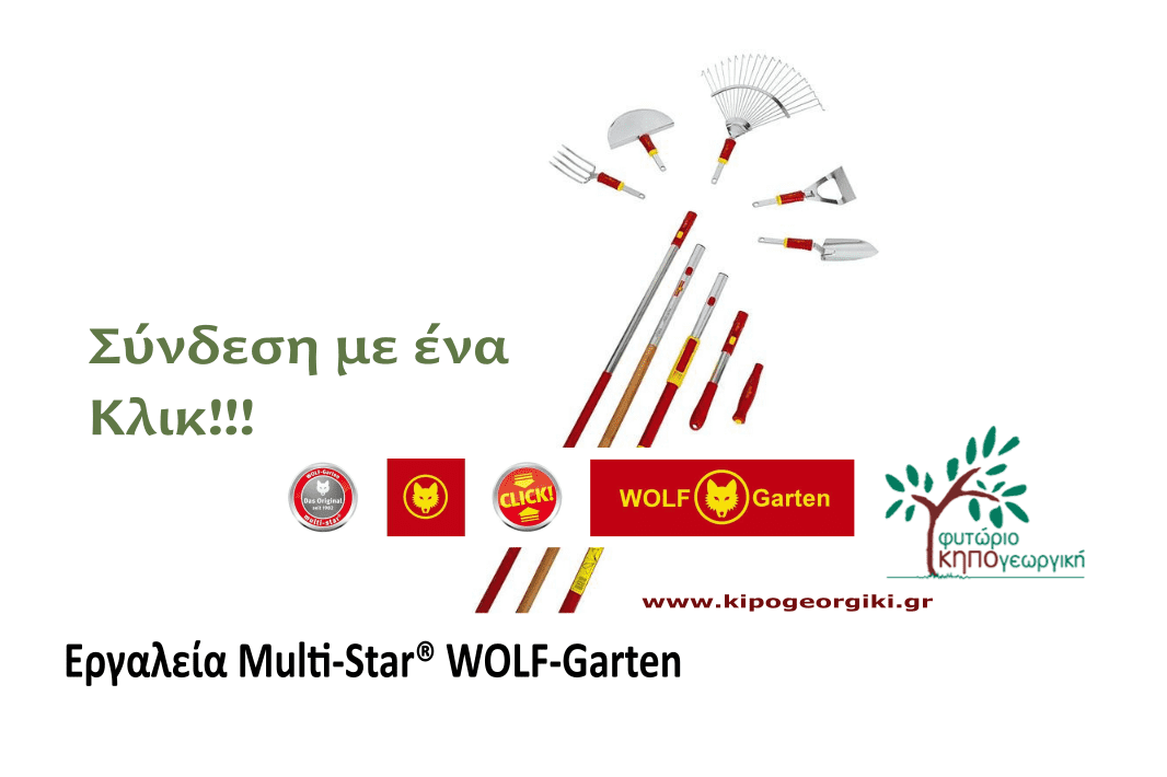 Η Σειρά Εργαλείων MULTI-STAR