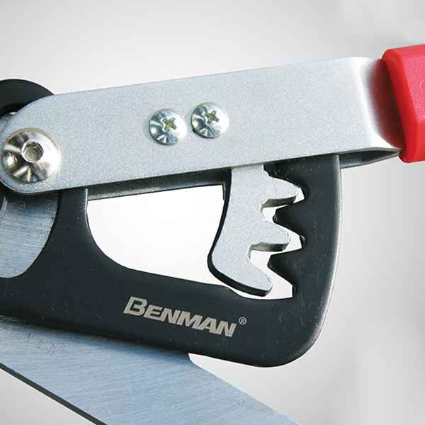 The Ratchet Mechanism