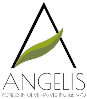 Angelis Logo