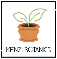 Kenzi-Logo