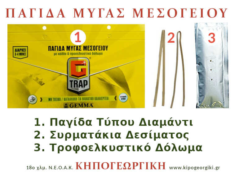 Contents of Trap