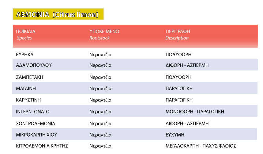 Λεμονιά - Ποικιλίες