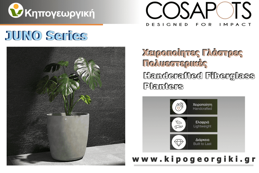 Juno Cosapots