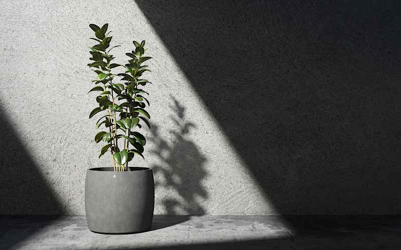 Planted Pot Keggo Cosapots