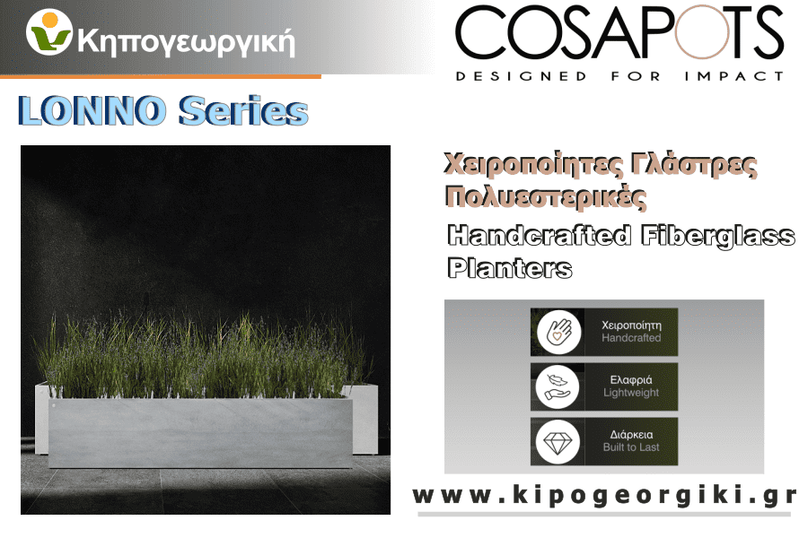 Lonno Cosapots