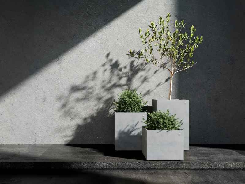 Planted Pot Reglito Cosapots