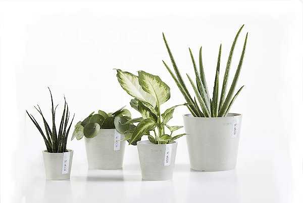 Σειρά Λευκών Γλαστρών Άμστερνταμ της Ecopots