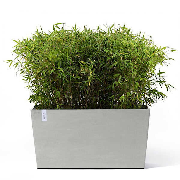Φυτεμένη Ζαρντινιέρα Paris Ecopots 100x40x(Υ)50εκ. Γκρι Λευκό