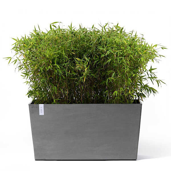 Φυτεμένη Ζαρντινιέρα Paris Ecopots 100x40x(Υ)50εκ. Γκρι