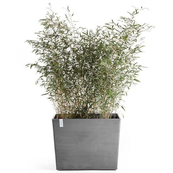 Φυτεμένη Ζαρντινιέρα Paris Ecopots Γκρι