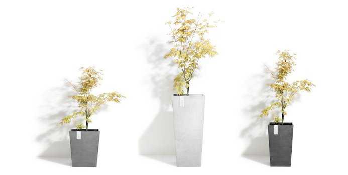 Σειρά Γλαστρών Rotterdam της Ecopots