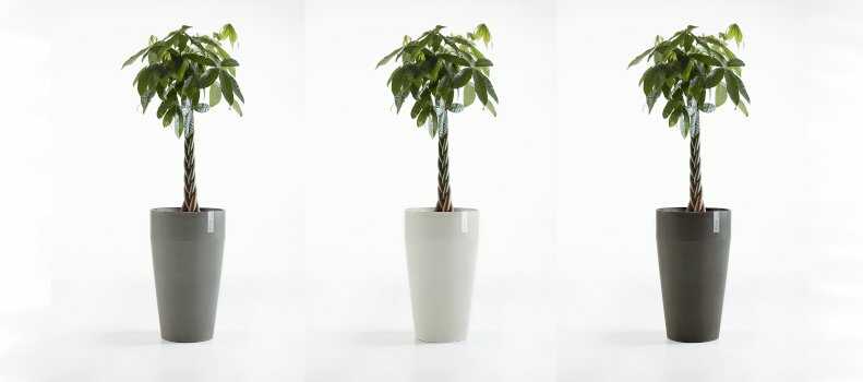 Σειρά Γλαστρών Sankara της Ecopots