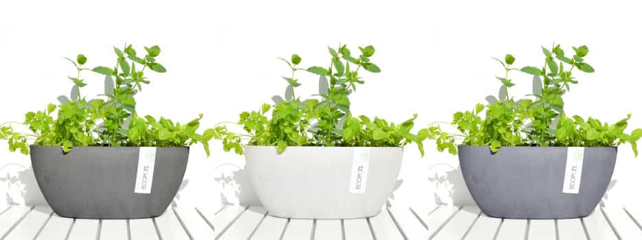 Σειρά Γλαστρών Sofia της Ecopots 