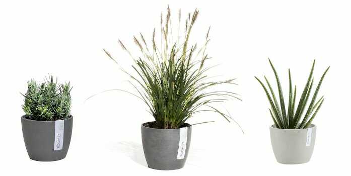Σειρά Γλαστρών Stockholm της Ecopots 