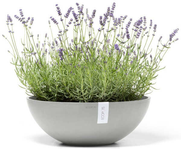 Planted Planter Vienna 50 White Gray