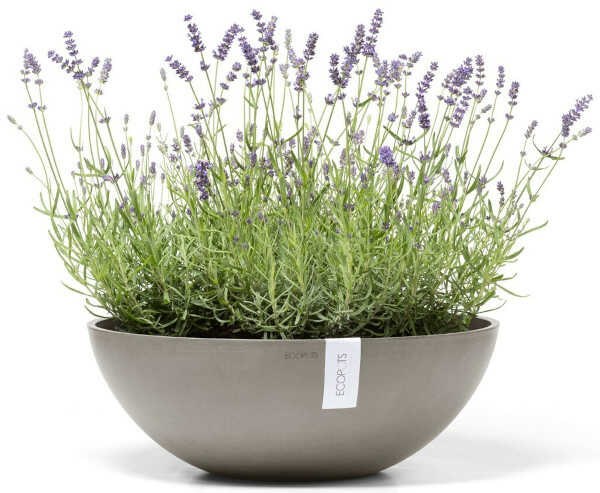 Planted Planter Vienna 50 Taupe 