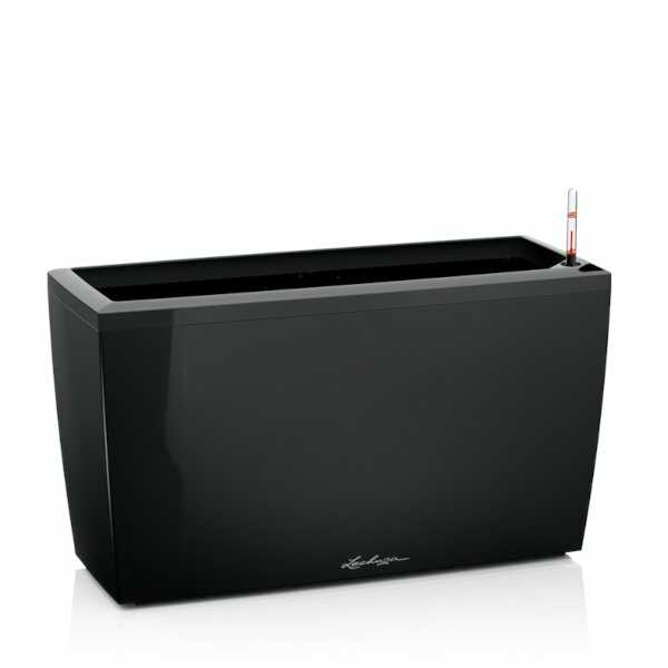 Cararo-Black-High-Gloss