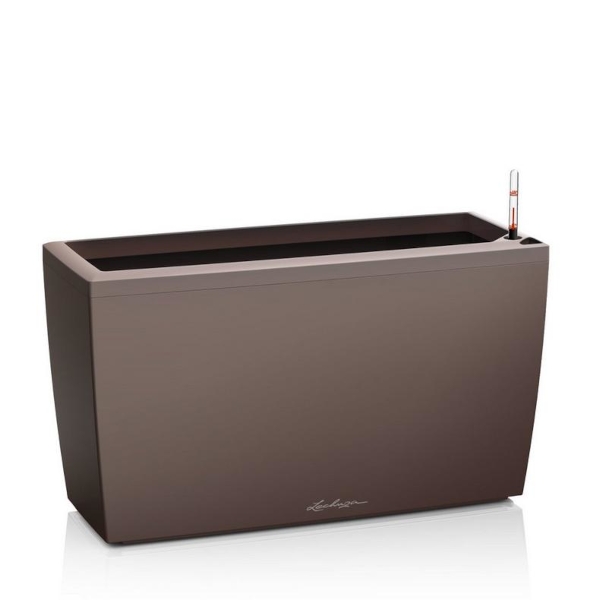 Cararo-Espresso-Metallic